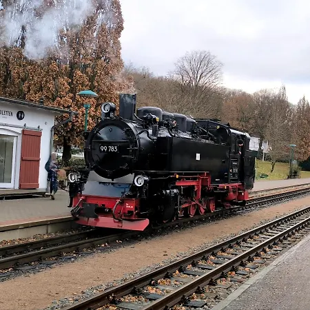 Ostseetraum-sellin *