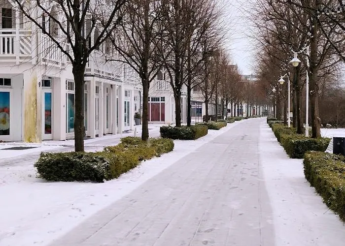 Ostseetraum-sellin *