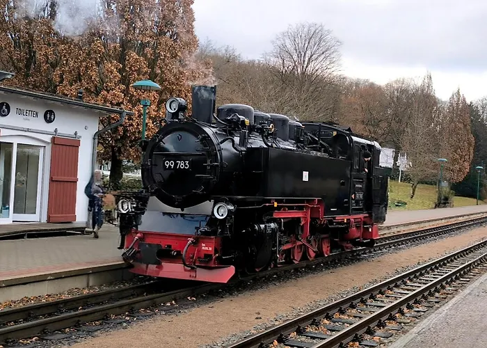 Ostseetraum-sellin *